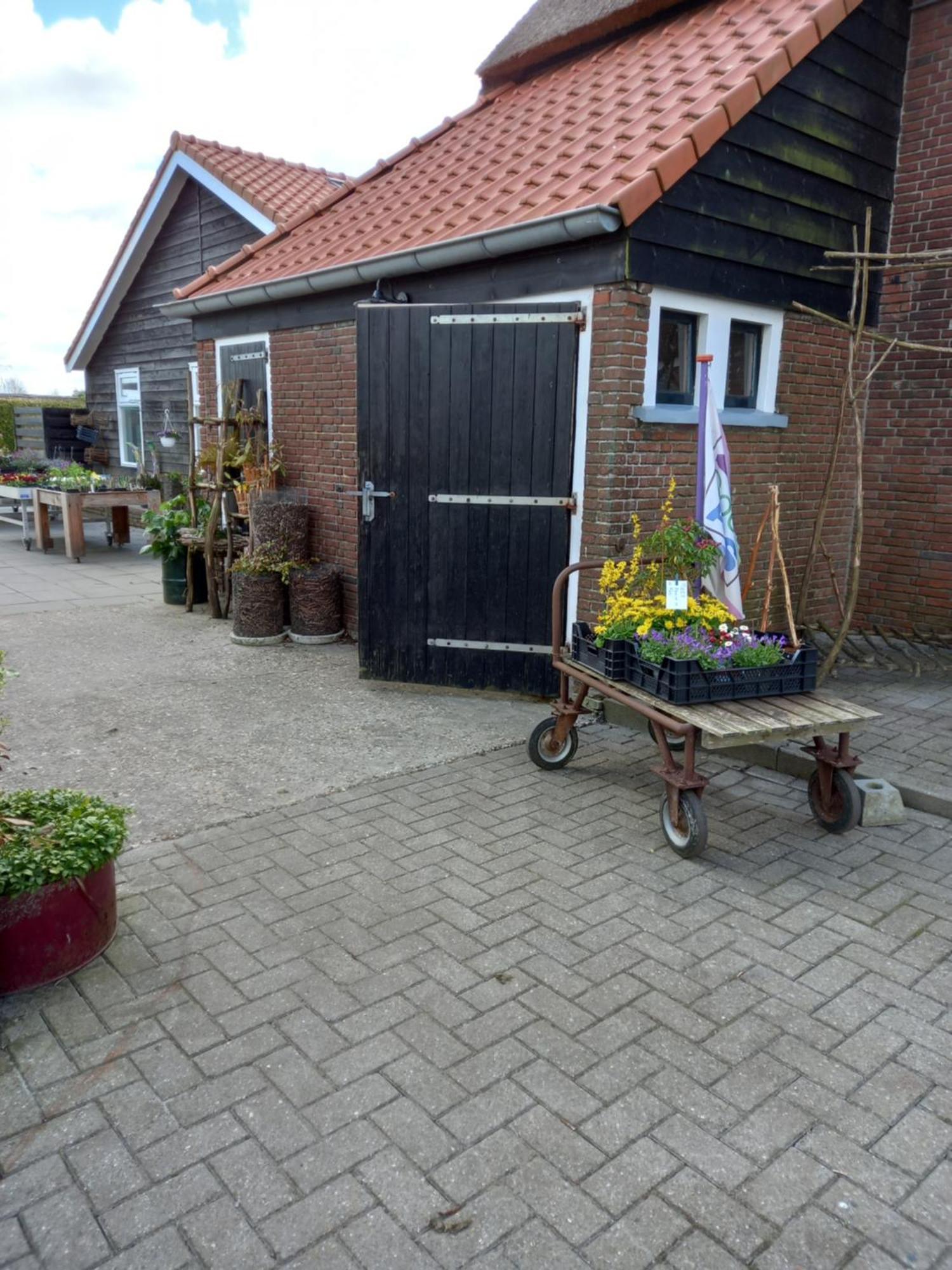 B&B Aan De Fjildwei Rinsumageest Exterior foto